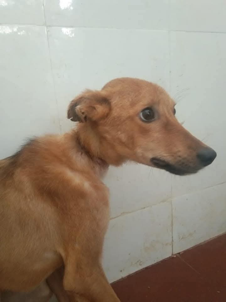 img 20260825 wa0014